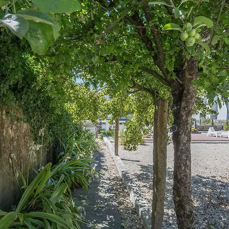 Pensjonat Porto Studios Porto